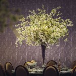 CISEM and CEM, New Clarence House-46