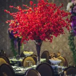 CISEM and CEM, New Clarence House-47