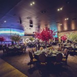 CISEM and CEM, New Clarence House-50