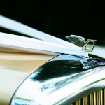 MEGAN and LUKE, Taronga Centre-10