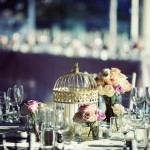 MEGAN and LUKE, Taronga Centre-54