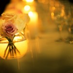 MEGAN and LUKE, Taronga Centre-66