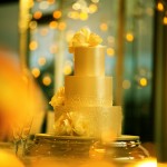 MEGAN and LUKE, Taronga Centre-67