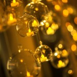 MEGAN and LUKE, Taronga Centre-68