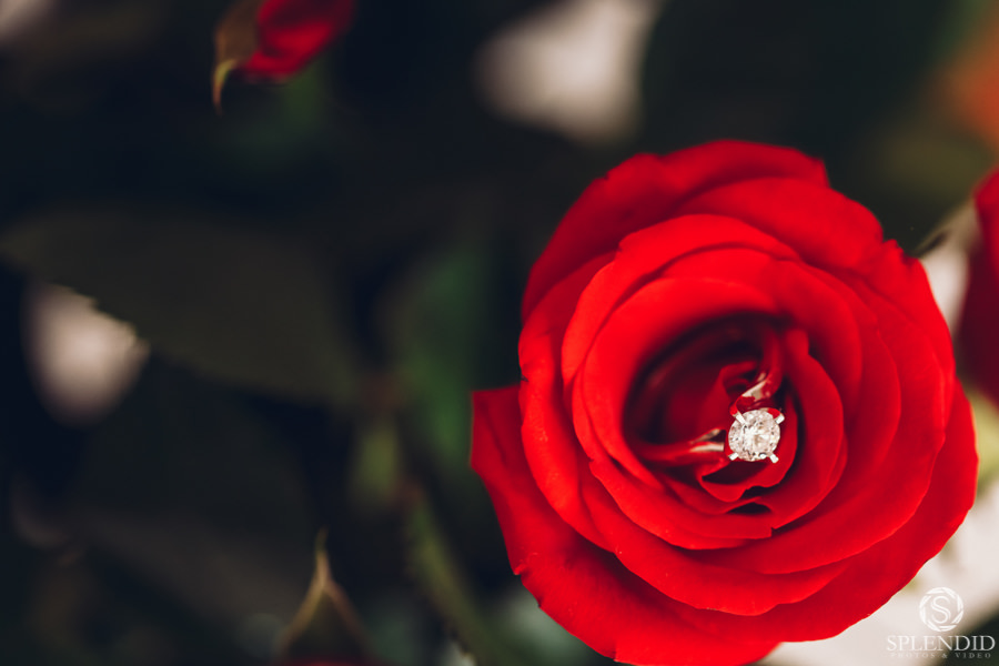 Dockside Wedding - Diane & Royce 10