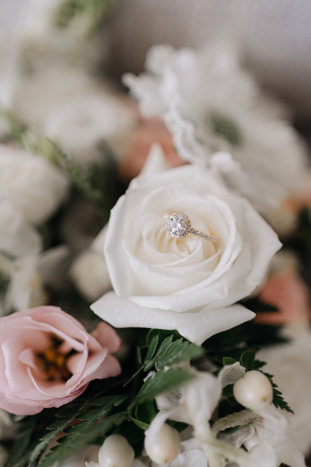 The Eveleigh Wedding: Claudia & Marc 3