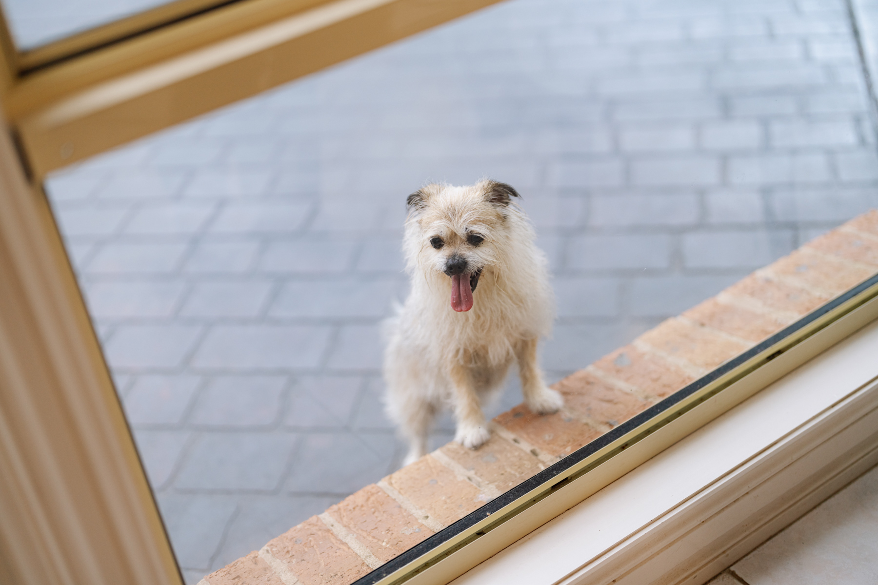 Sydney Four Seasons Hotel Wedding: Bianca & Peter 7
